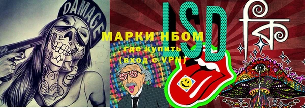 ПСИЛОЦИБИНОВЫЕ ГРИБЫ Кукмор