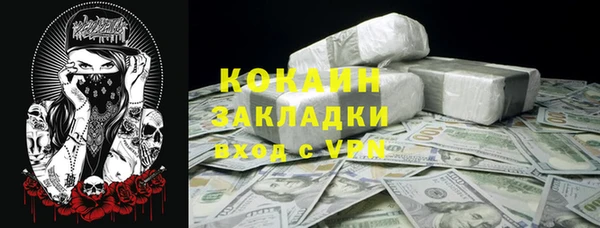 PSILOCYBIN Лабытнанги