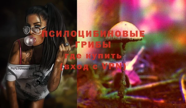 PSILOCYBIN Лабытнанги
