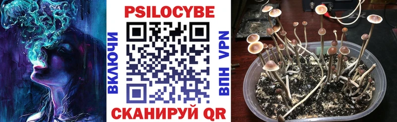 Купить  Саяногорск  Галлюциногенные грибы прущие грибы 